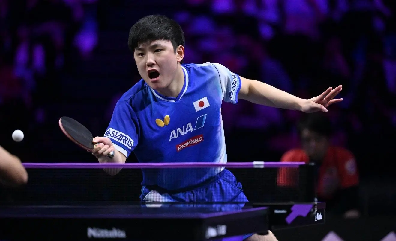 张本智和的, 技得到了球, tenan 张本智和的, 技得到了球, tenan