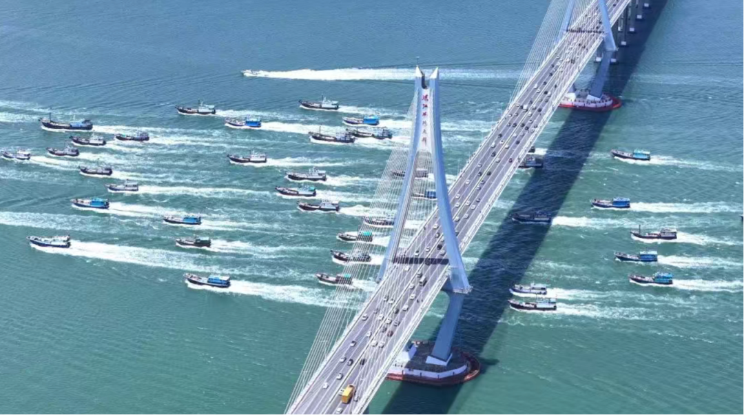 也非常高兴, 荣获亚军 也非常高兴, 荣获亚军